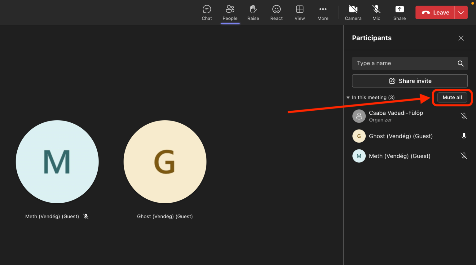 Mute Guide How to Mute Microsoft Teams: an Easy Guide - Productivity Nine to Five